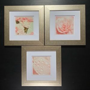 Set of 3 - 5”x5” peonies